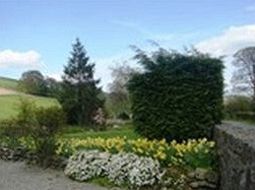 Pen-Isa'R-Llan Farm Hotell Llanfor Exteriör bild